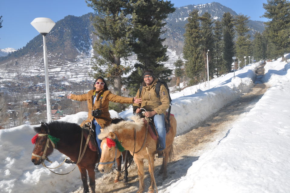 Photo of Balancing EMIs, Family Functions & The Passion for Travel 2/12 by Sridevi M
