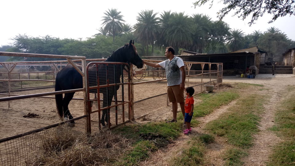 Photo of Balancing EMIs, Family Functions & The Passion for Travel 8/12 by Sridevi M