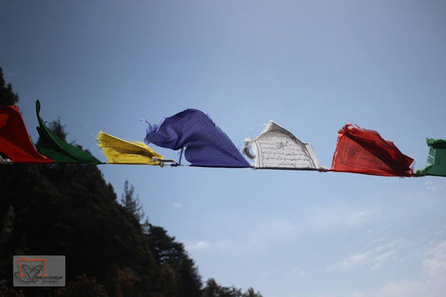 Photo of Travel Guide: Exploring the Hippie Hill Station McLeod Ganj 1/4 by Shri Ayyangar