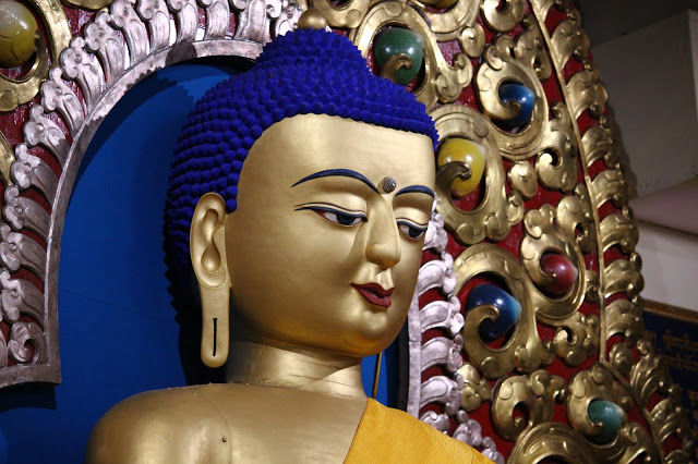 Photo of Travel Guide: Exploring the Hippie Hill Station McLeod Ganj 4/4 by Shri Ayyangar