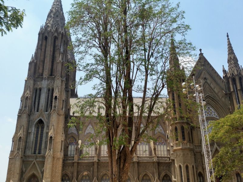 Photo of Once upon a time in Mysore 11/44 by SkinnyGirlDiariez