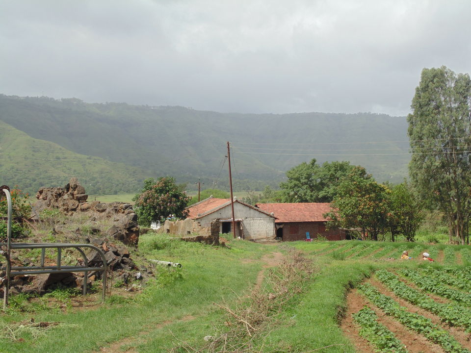 Photo of Mahabaleshwar In Monsoon :) 1/5 by Kshama Pandey