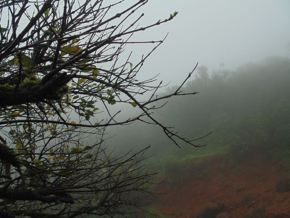 Photo of Mahabaleshwar In Monsoon :) 2/5 by Kshama Pandey