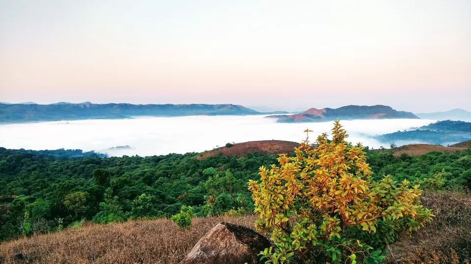 Photo of Mandalpatti, Hammiyala, Coorg, Karnataka by Kshama Pandey
