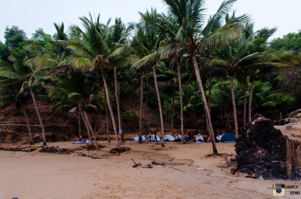 Photo of Gokarna Beach Trek - Relaxing in Paradise, Chanting OM, and looking at HalfMoon 25/46 by Venki