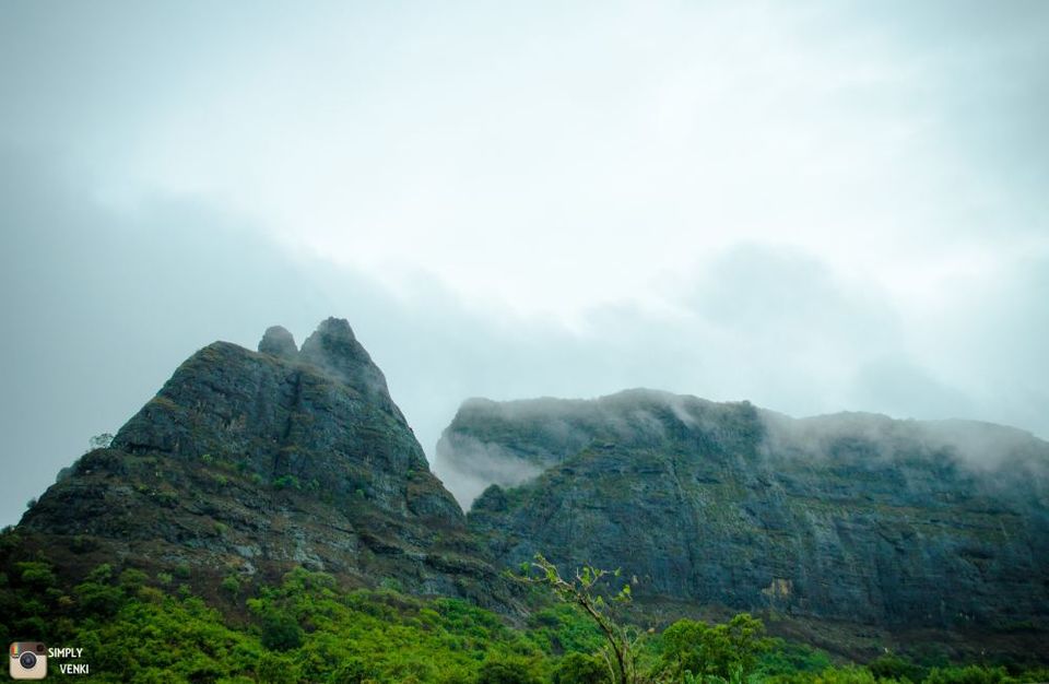 Photo of Kalavantin Durg - Day and Night Trek in the Monsoons 10/52 by Venki