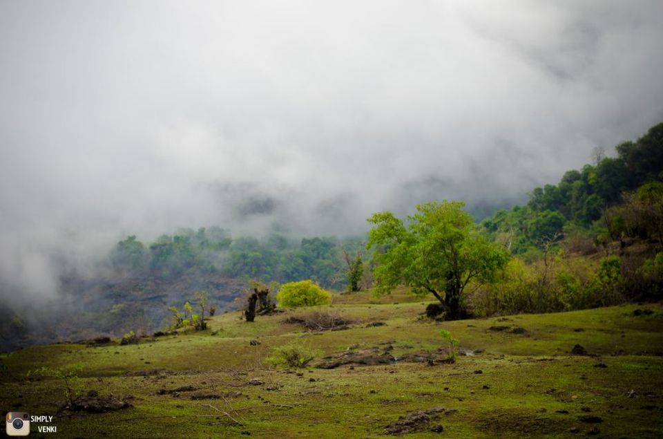 Photo of Kalavantin Durg - Day and Night Trek in the Monsoons 13/52 by Venki