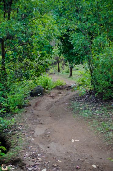 Photo of Kalavantin Durg - Day and Night Trek in the Monsoons 14/52 by Venki