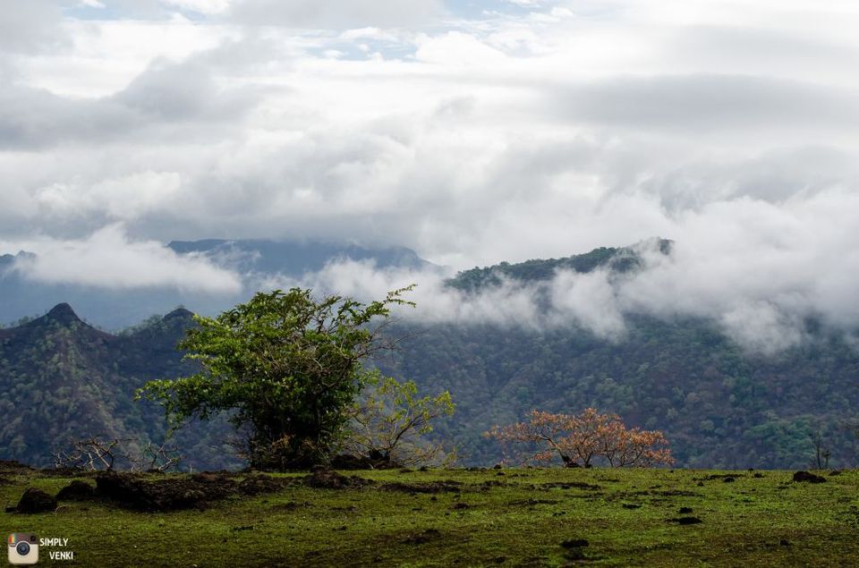 Photo of Kalavantin Durg - Day and Night Trek in the Monsoons 20/52 by Venki