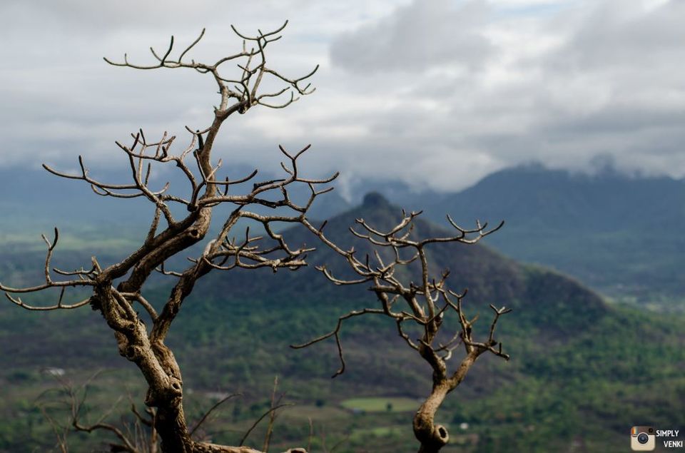 Photo of Kalavantin Durg - Day and Night Trek in the Monsoons 22/52 by Venki