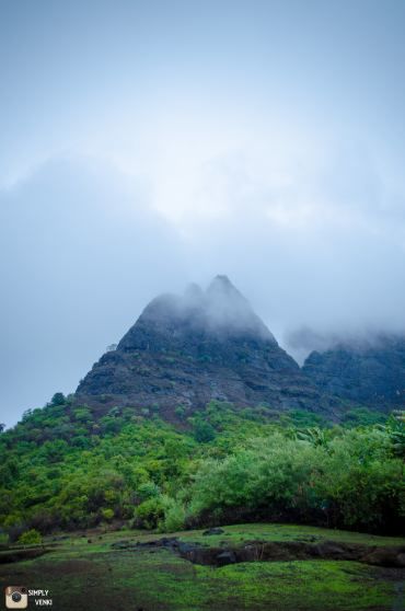 Photo of Kalavantin Durg - Day and Night Trek in the Monsoons 29/52 by Venki