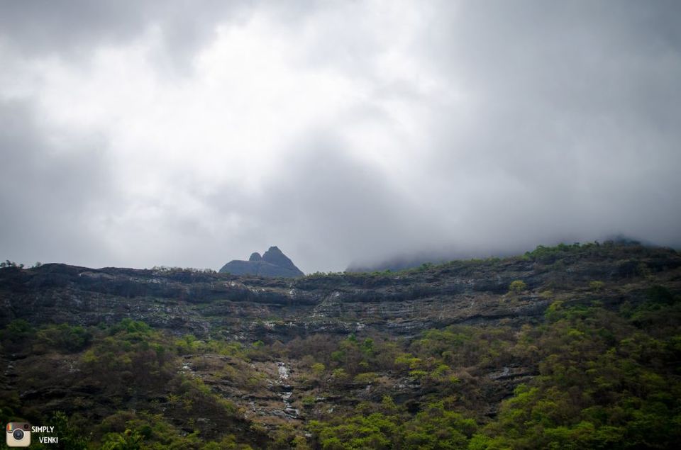 Photo of Kalavantin Durg - Day and Night Trek in the Monsoons 33/52 by Venki