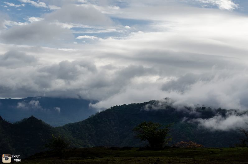 Photo of Kalavantin Durg - Day and Night Trek in the Monsoons 37/52 by Venki