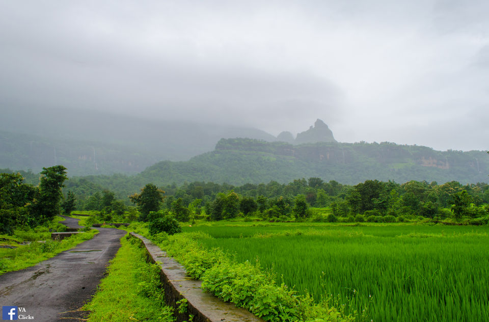 Photo of Bhimashankar and its Beauty!! 2/39 by Venki