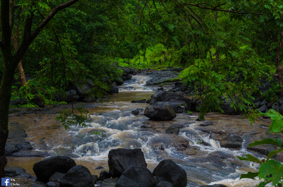 Photo of Bhimashankar and its Beauty!! 7/39 by Venki