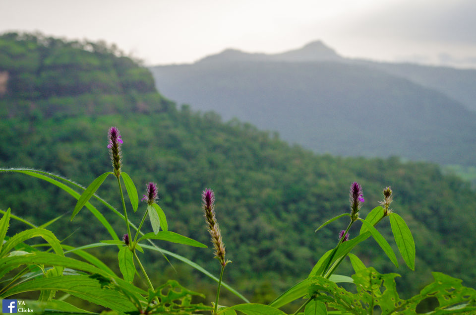 Photo of Bhimashankar and its Beauty!! 8/39 by Venki