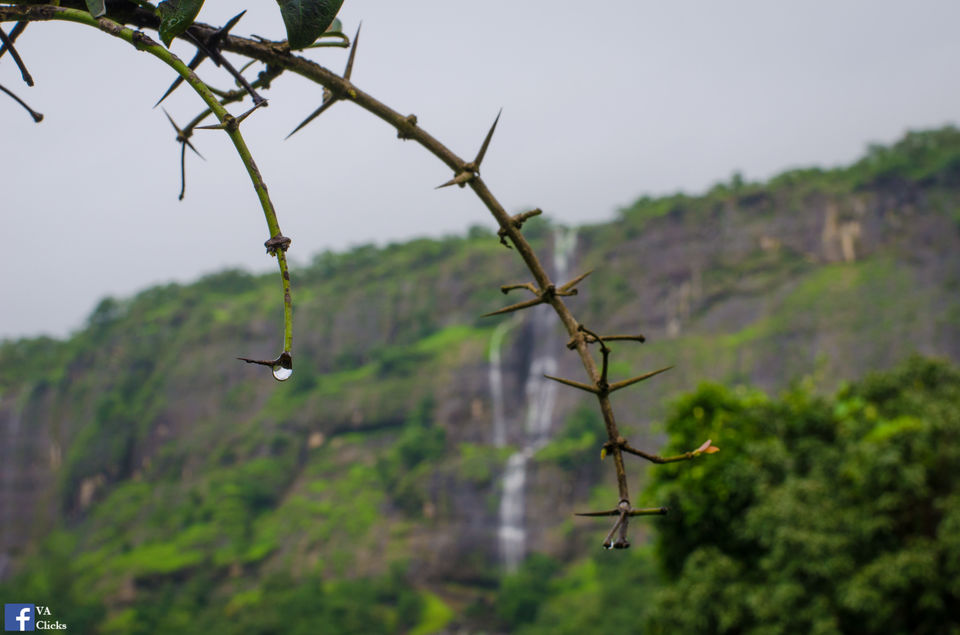 Photo of Bhimashankar and its Beauty!! 10/39 by Venki