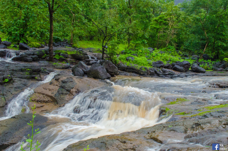 Photo of Bhimashankar and its Beauty!! 12/39 by Venki