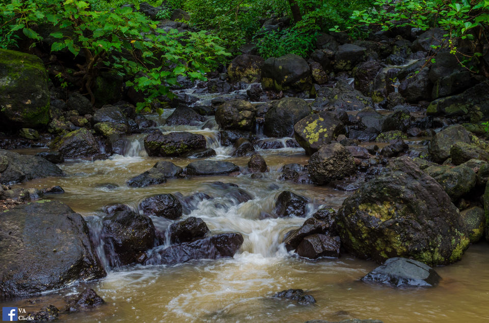 Photo of Bhimashankar and its Beauty!! 15/39 by Venki