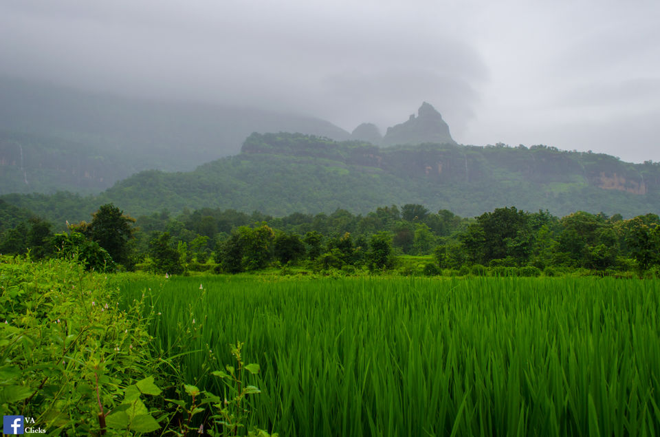 Photo of Bhimashankar and its Beauty!! 20/39 by Venki