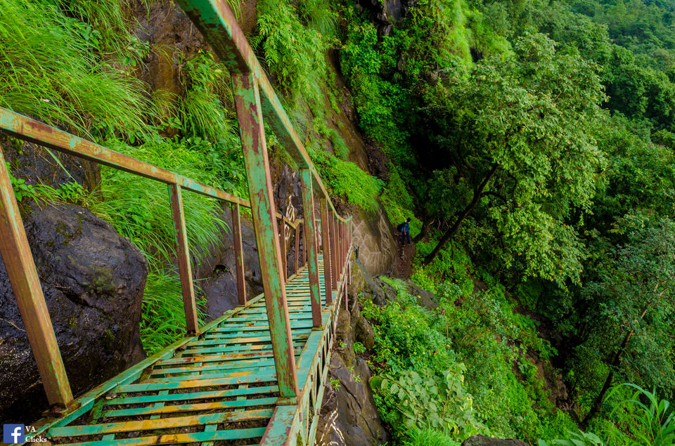 Photo of Bhimashankar and its Beauty!! 29/39 by Venki