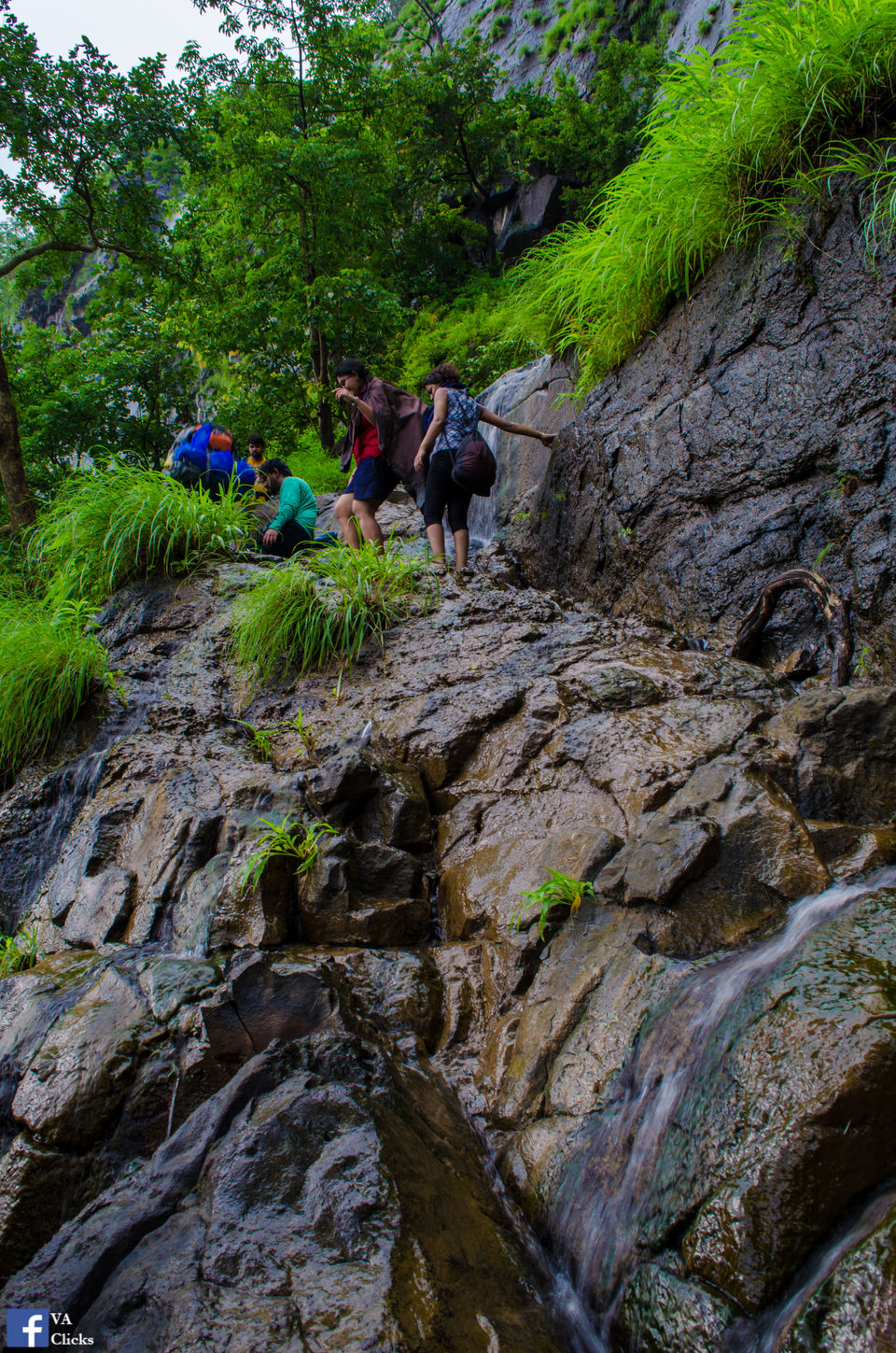 Photo of Bhimashankar and its Beauty!! 28/39 by Venki