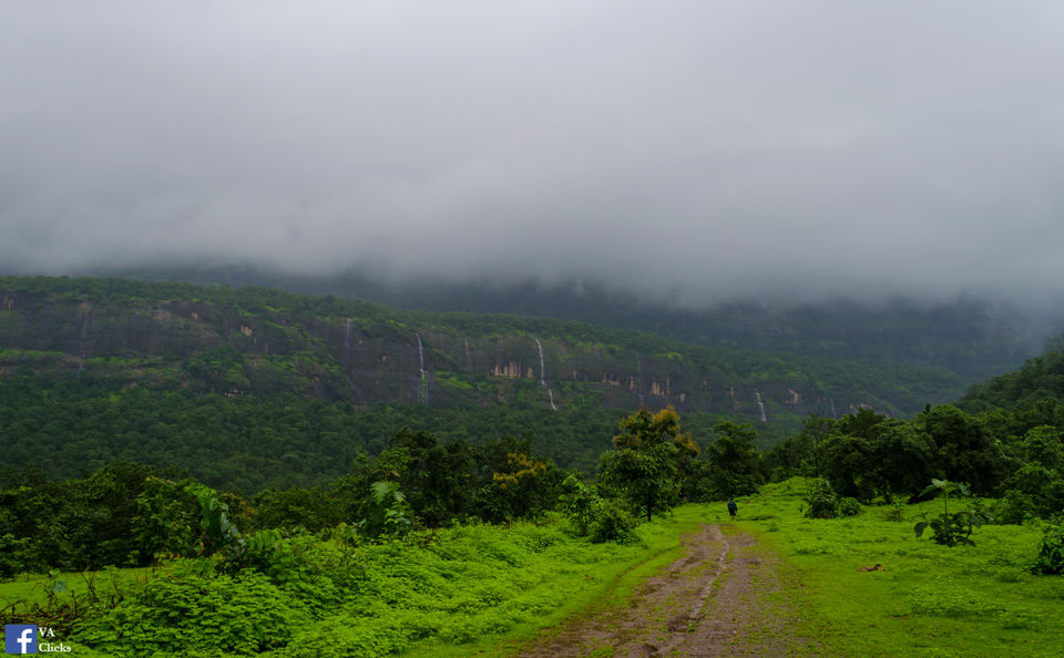Photo of Bhimashankar and its Beauty!! 33/39 by Venki