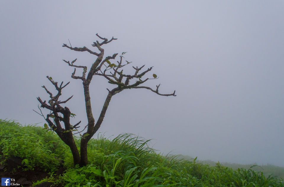 Photo of Bhimashankar and its Beauty!! 35/39 by Venki