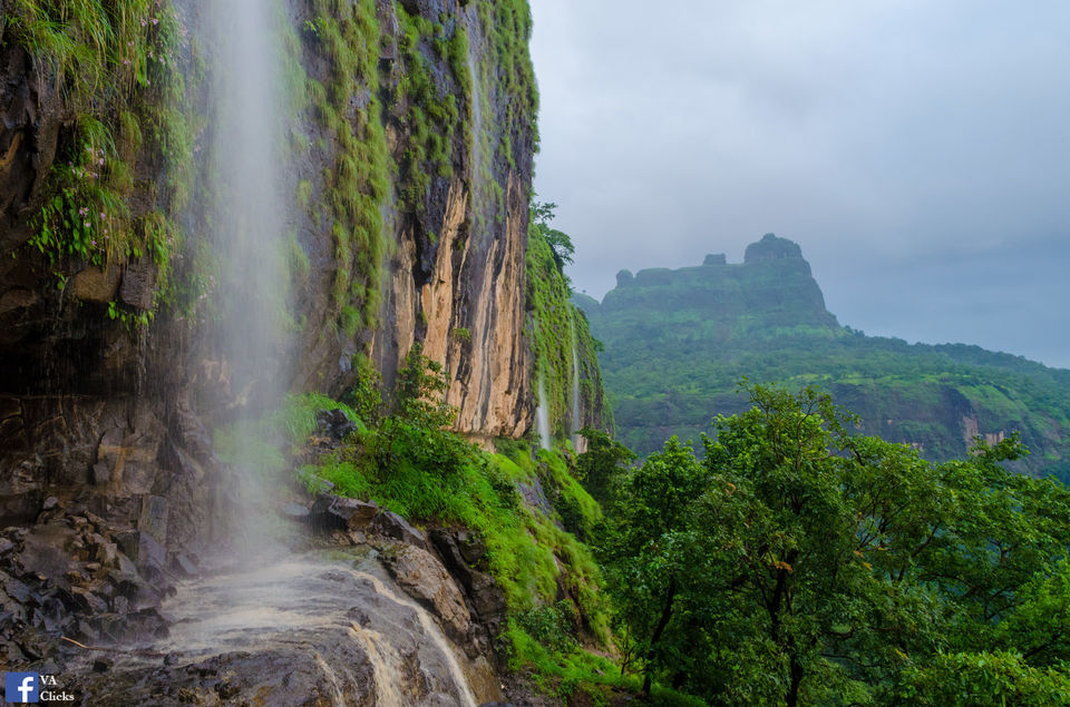 Photo of Bhimashankar and its Beauty!! 1/39 by Venki