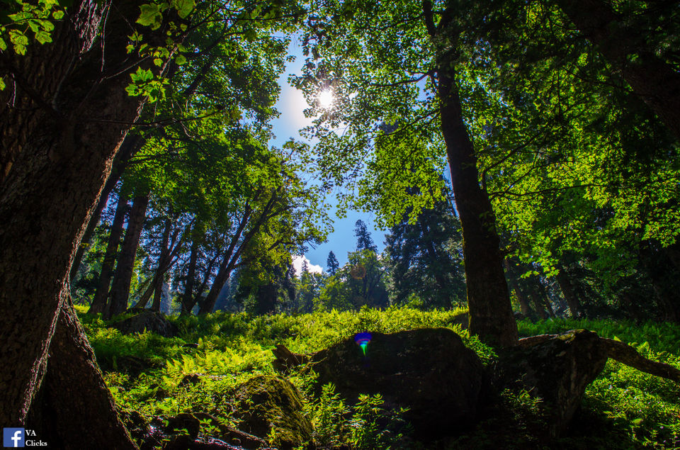 Photo of Hampta Pass: Hike Mountains, Run Through Meadows, Cross Rivers and Breathe the Wild Air 8/26 by Venki