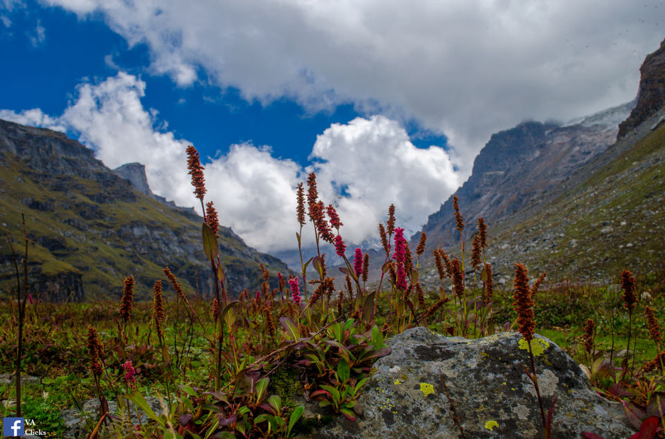 Photo of Hampta Pass Cross over Day: You Never Know What Could Be On the Other Side. 6/32 by Venki