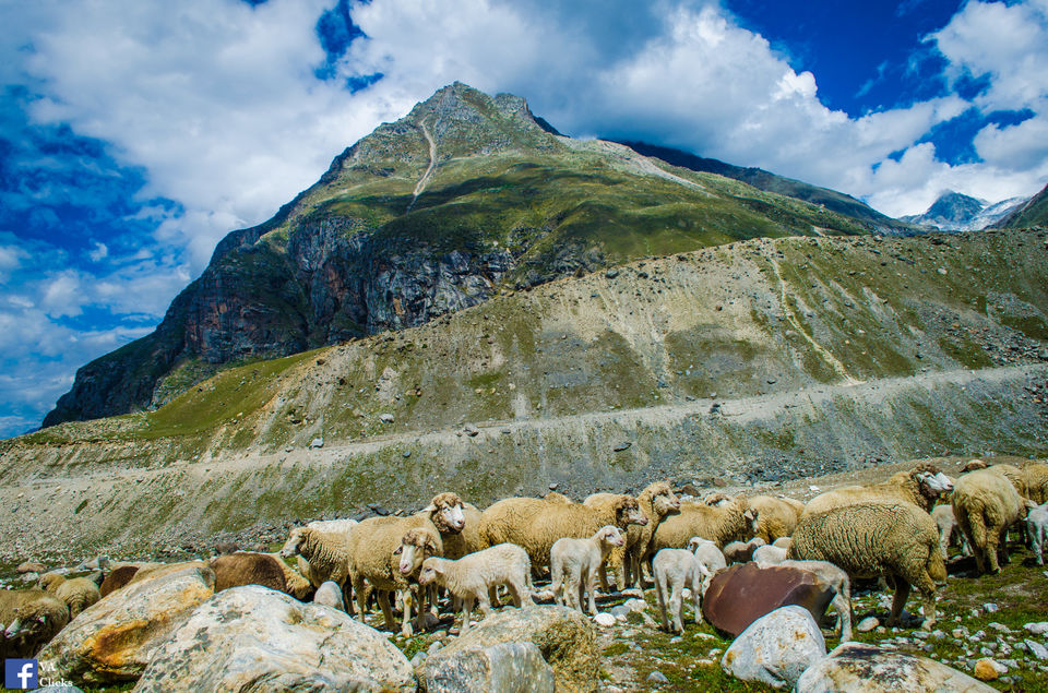 Photo of Hampta Pass Cross over Day: You Never Know What Could Be On the Other Side. 4/32 by Venki