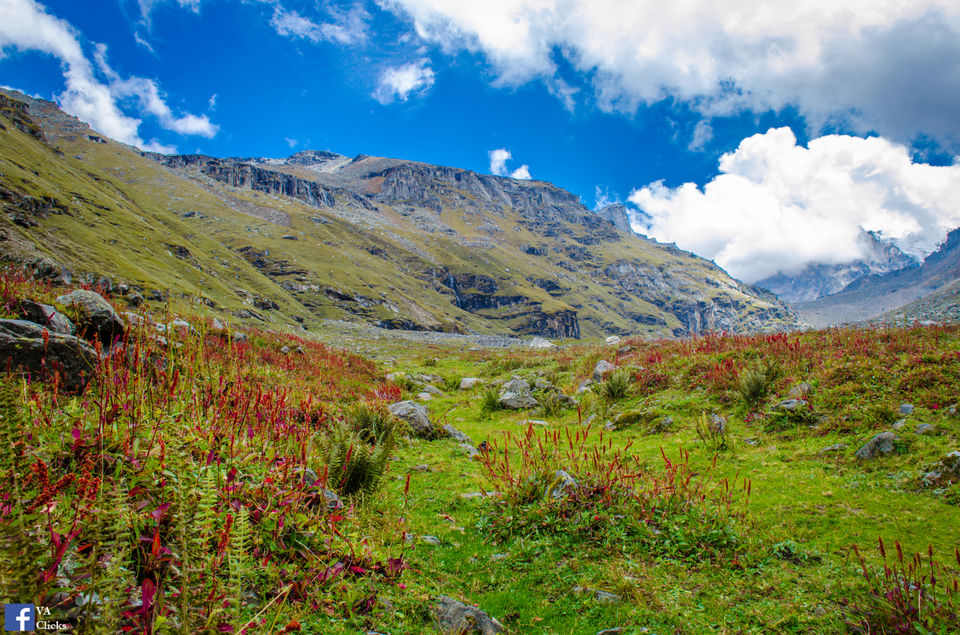 Photo of Hampta Pass: Hike Mountains, Run Through Meadows, Cross Rivers and Breathe the Wild Air 22/26 by Venki