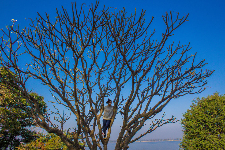 Photo of Pocharam Lake: Weekend Gateway from Hyderabad into Nature 15/15 by Venki