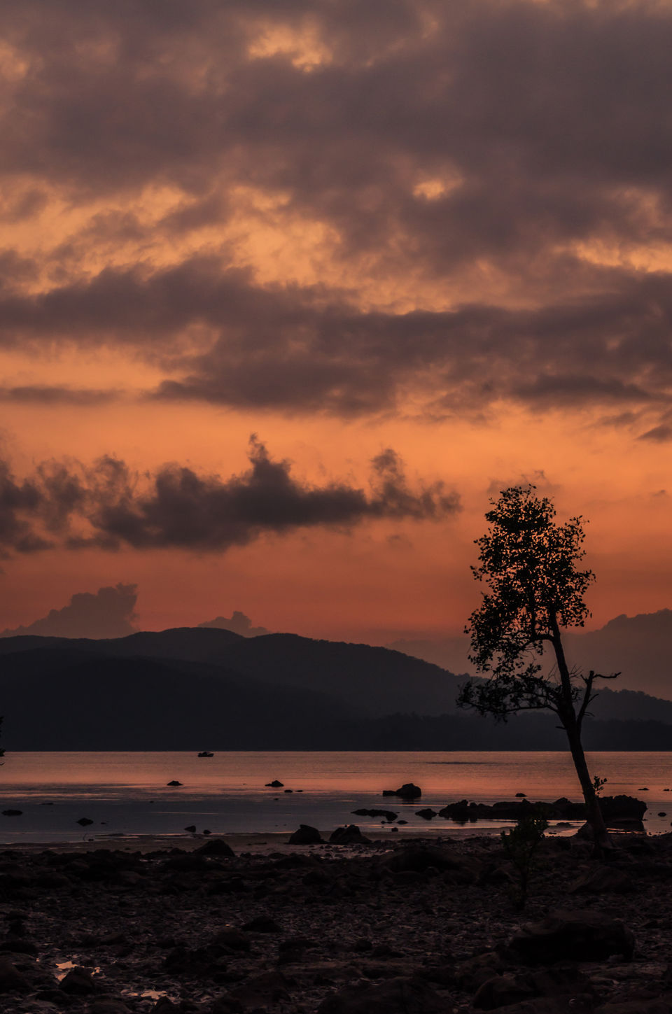 Photo of Sunsets to Not Miss on Andaman Islands 6/18 by Venki