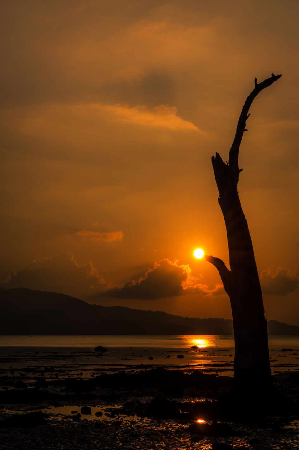 Photo of Sunsets to Not Miss on Andaman Islands 10/18 by Venki