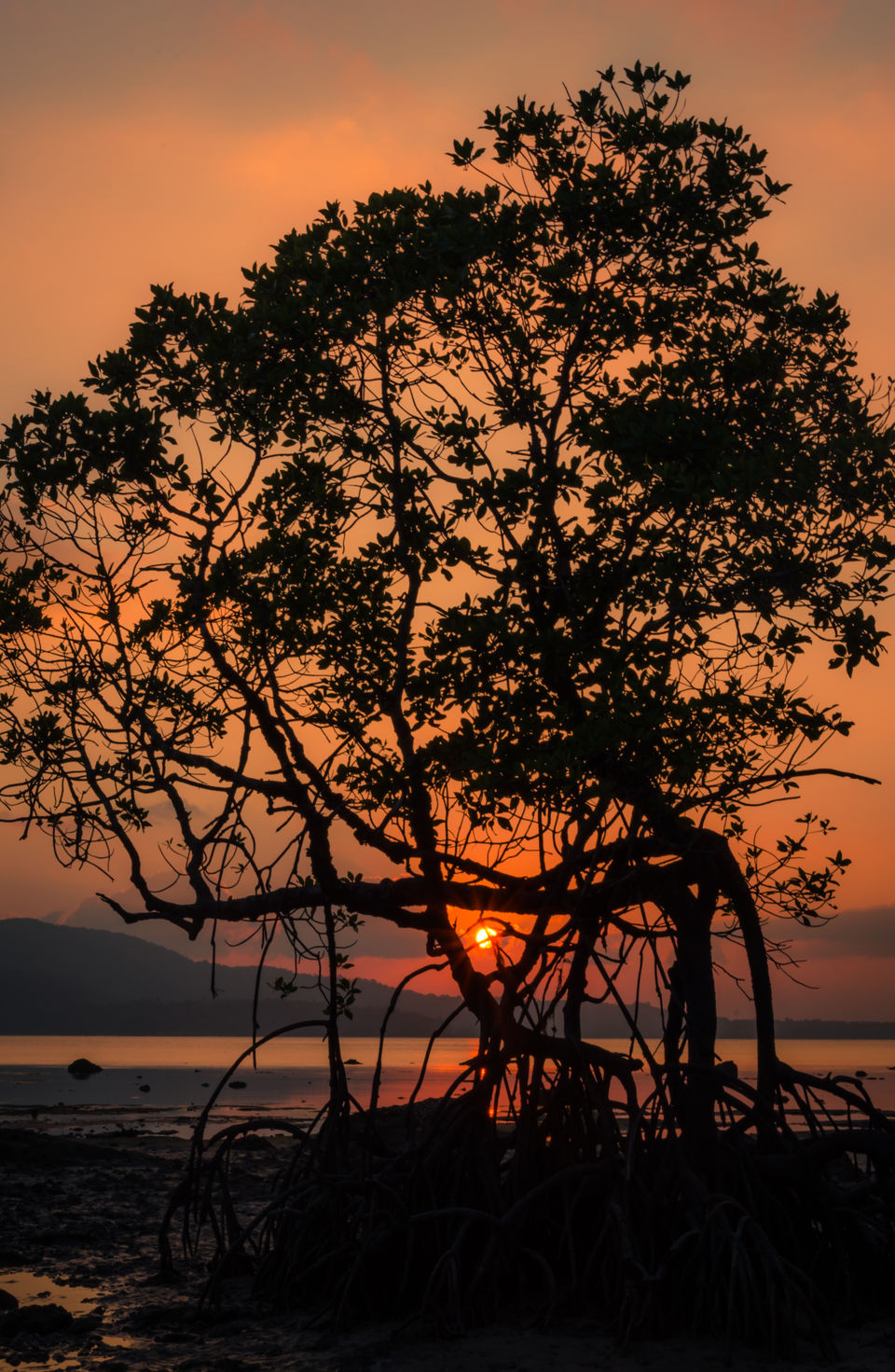 Photo of Sunsets to Not Miss on Andaman Islands 11/18 by Venki