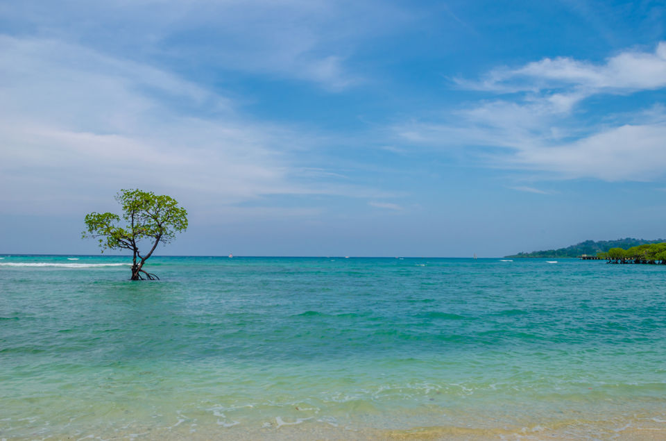 Photo of Andaman and Nicobar Islands - Place Where Happiness Comes in Waves 9/21 by Venki