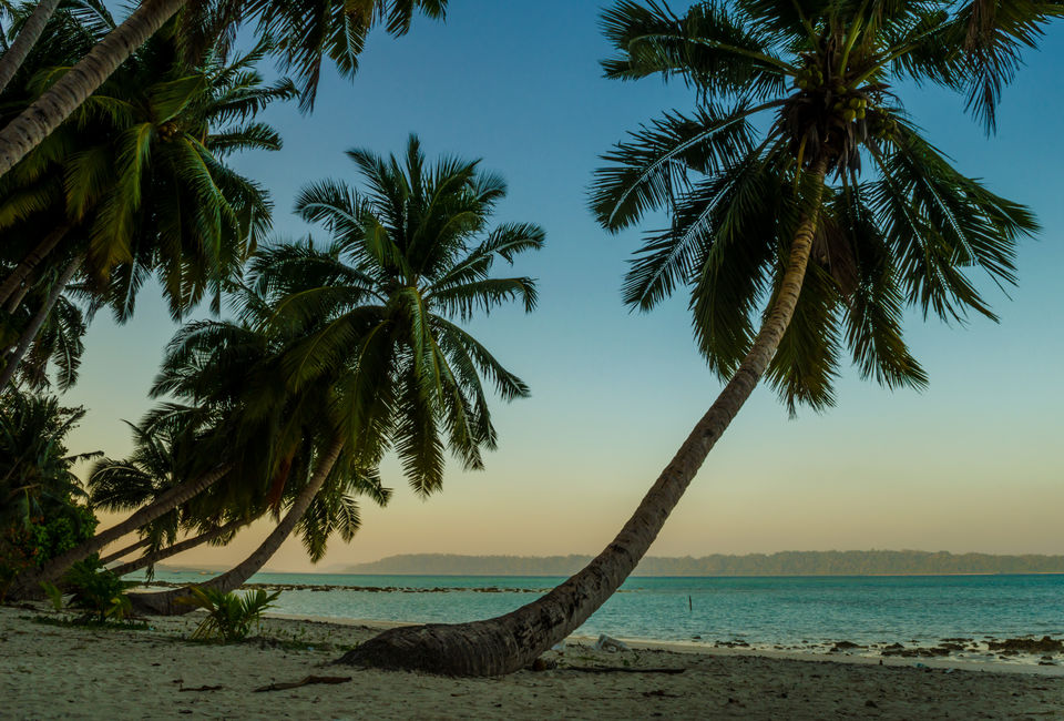 Photo of Andaman and Nicobar Islands - Place Where Happiness Comes in Waves 8/21 by Venki