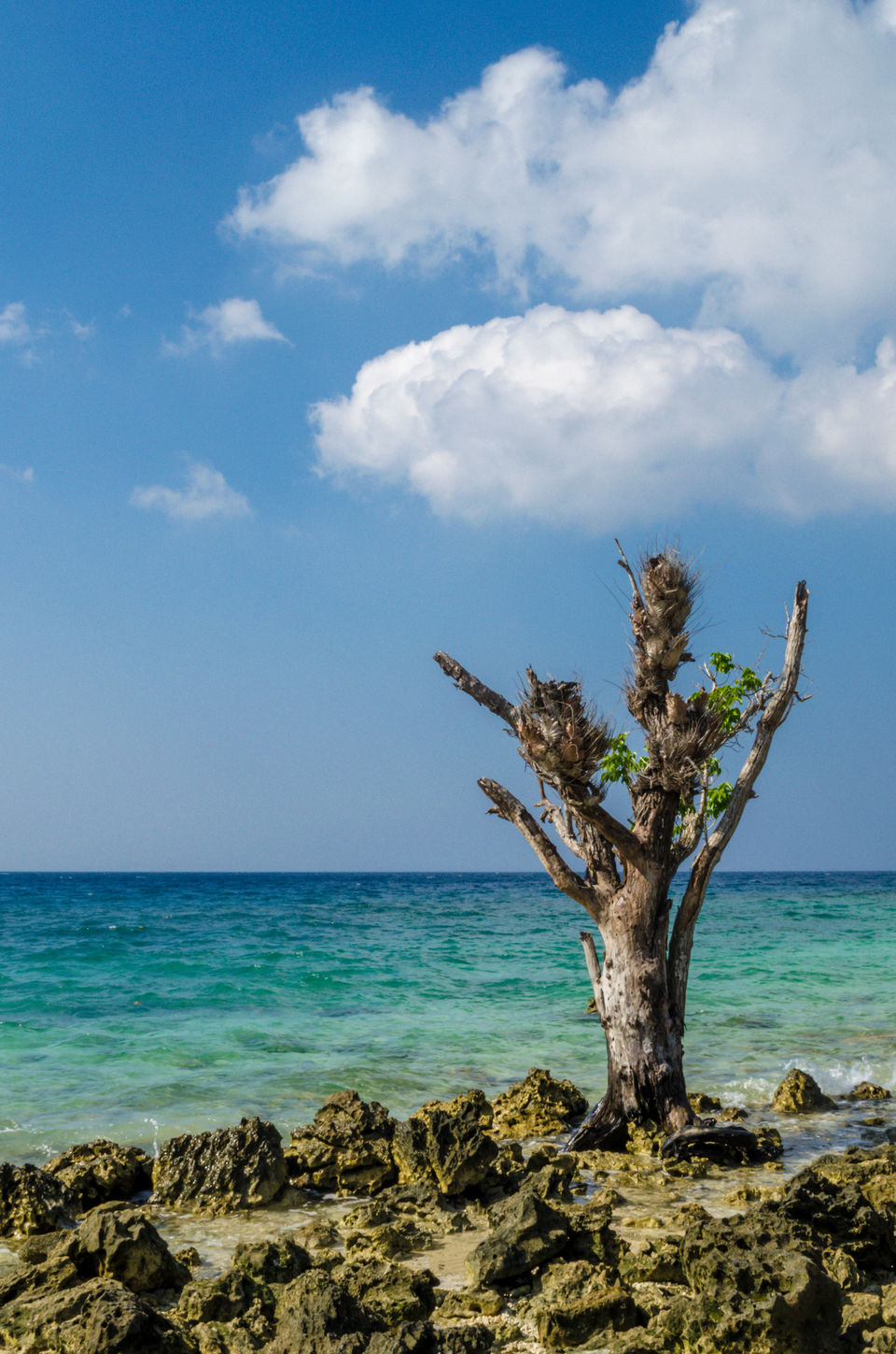 Photo of Andaman and Nicobar Islands - Place Where Happiness Comes in Waves 6/21 by Venki