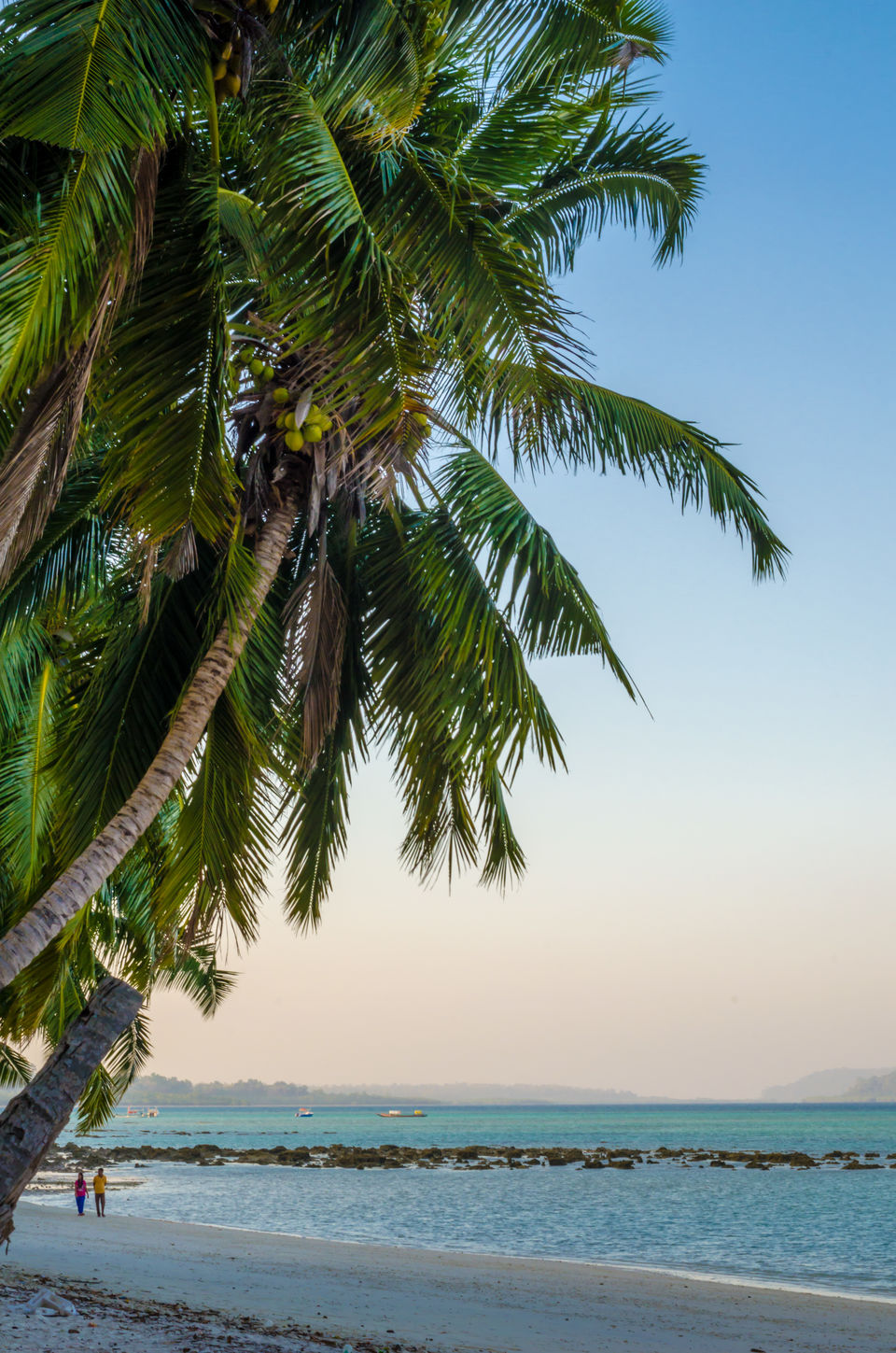 Photo of Andaman and Nicobar Islands - Place Where Happiness Comes in Waves 7/21 by Venki