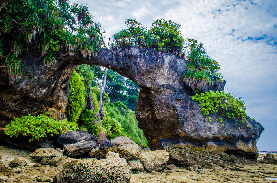 Photo of Andaman and Nicobar Islands - Place Where Happiness Comes in Waves 13/21 by Venki