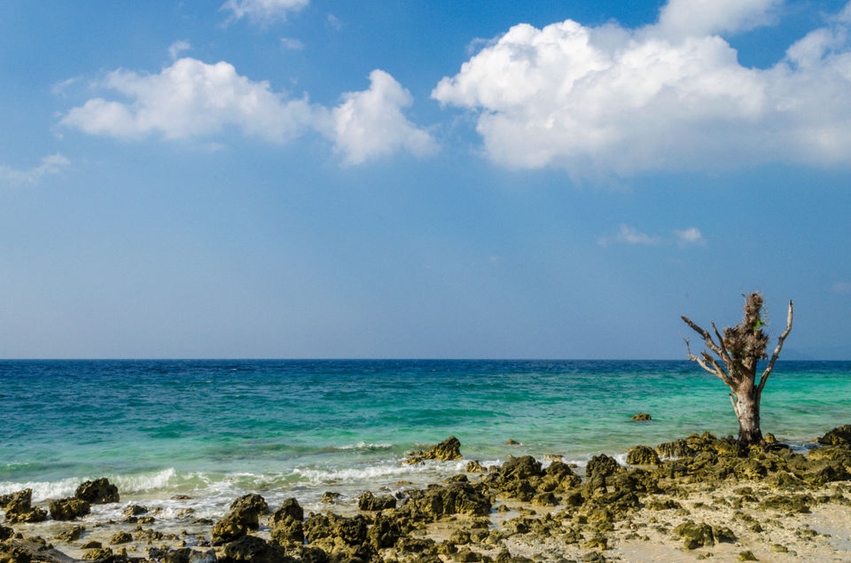 Photo of Andaman and Nicobar Islands - Place Where Happiness Comes in Waves 2/21 by Venki
