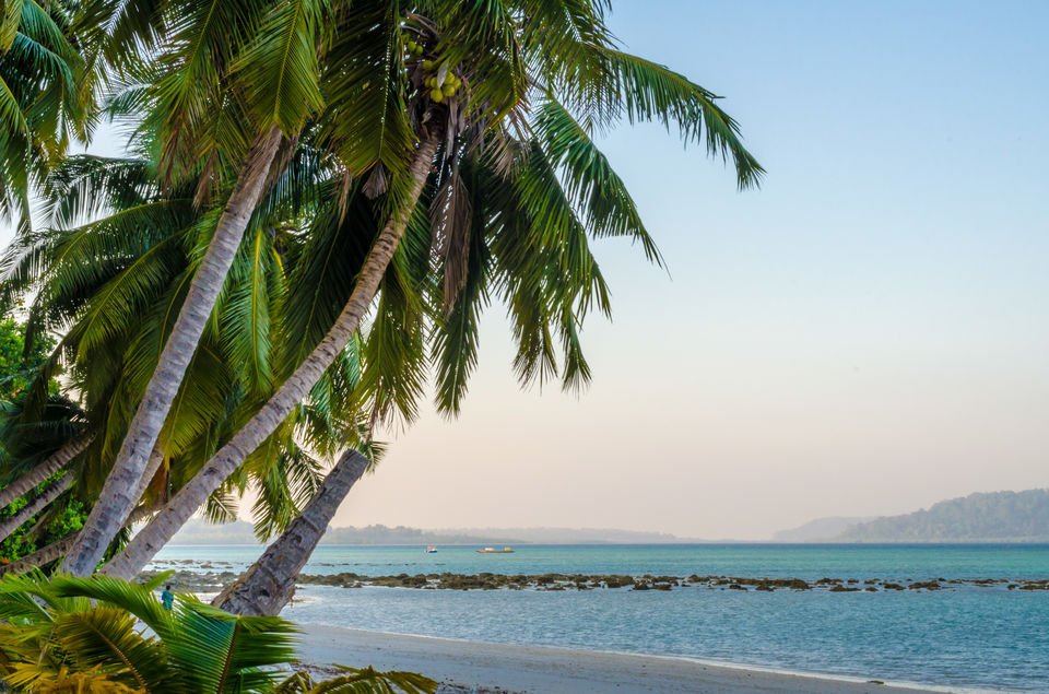 Photo of Andaman and Nicobar Islands - Place Where Happiness Comes in Waves 5/21 by Venki