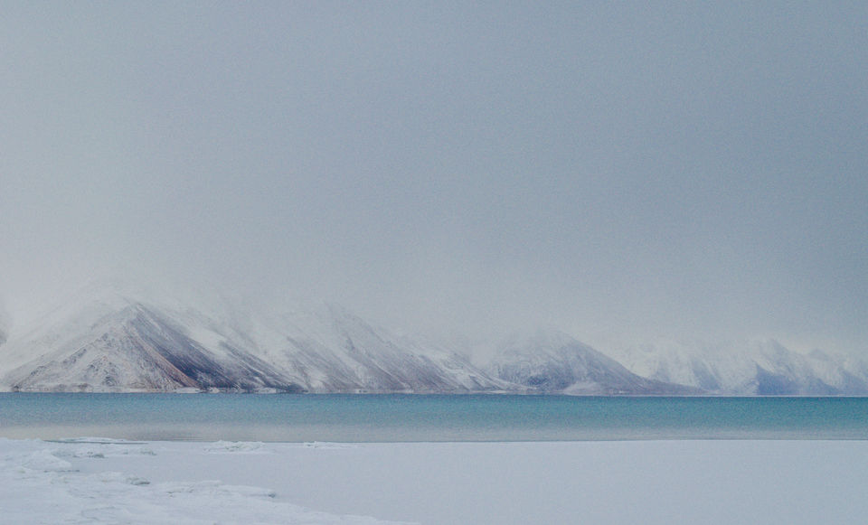 Photo of The Land of Winter Fairy Tales #photosofsnow 7/15 by Venki