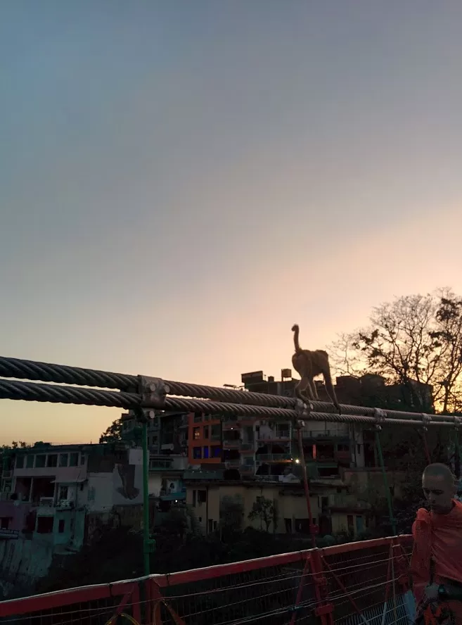 Photo of Lakshman Jhula, Laxman Jhula, Rishikesh, Uttarakhand, India by Yukti Malik