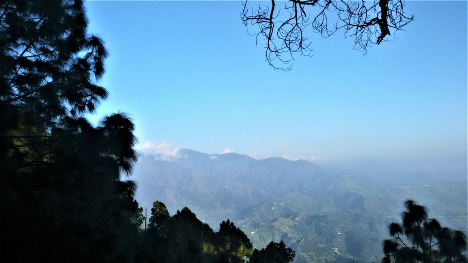 Photo of Traversing through the verdant lanes of Lansdowne by Yukti Malik