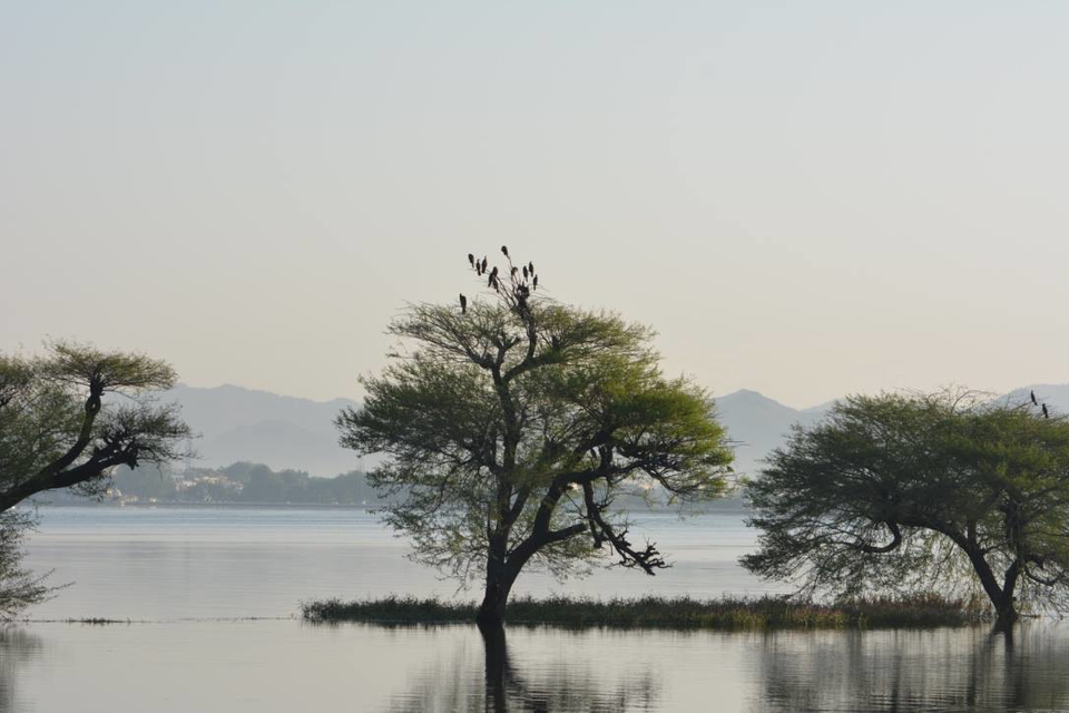 Photo of 5 Reasons why Udaipur qualifies to be on-the-top of your travel goals! 4/15 by Shruti Paliwal