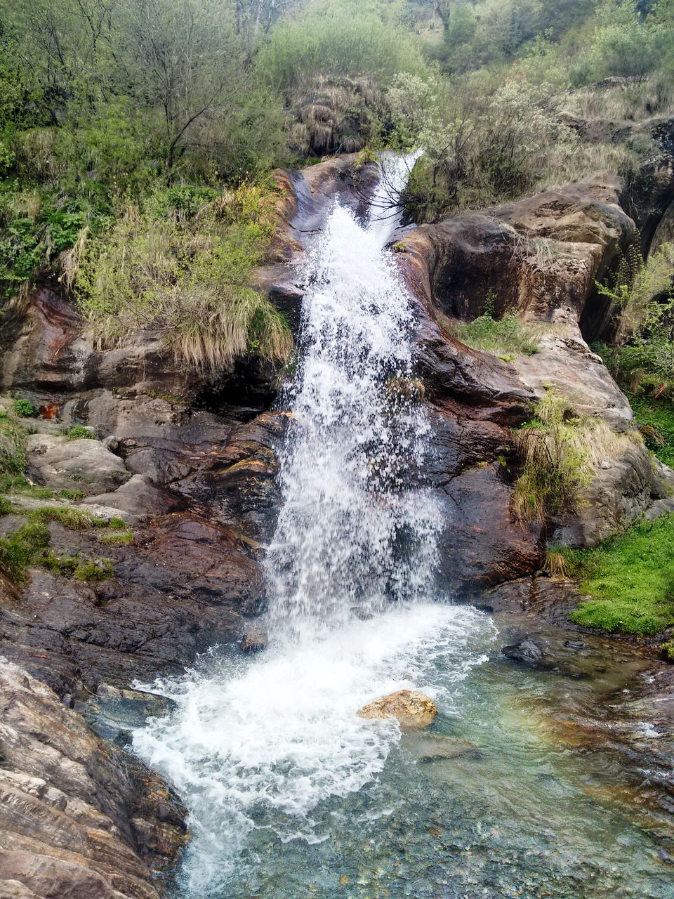 Photo of Kheerganga- #wanderlust in Aromas of Tranquillity 7/10 by Arjun Mahajan