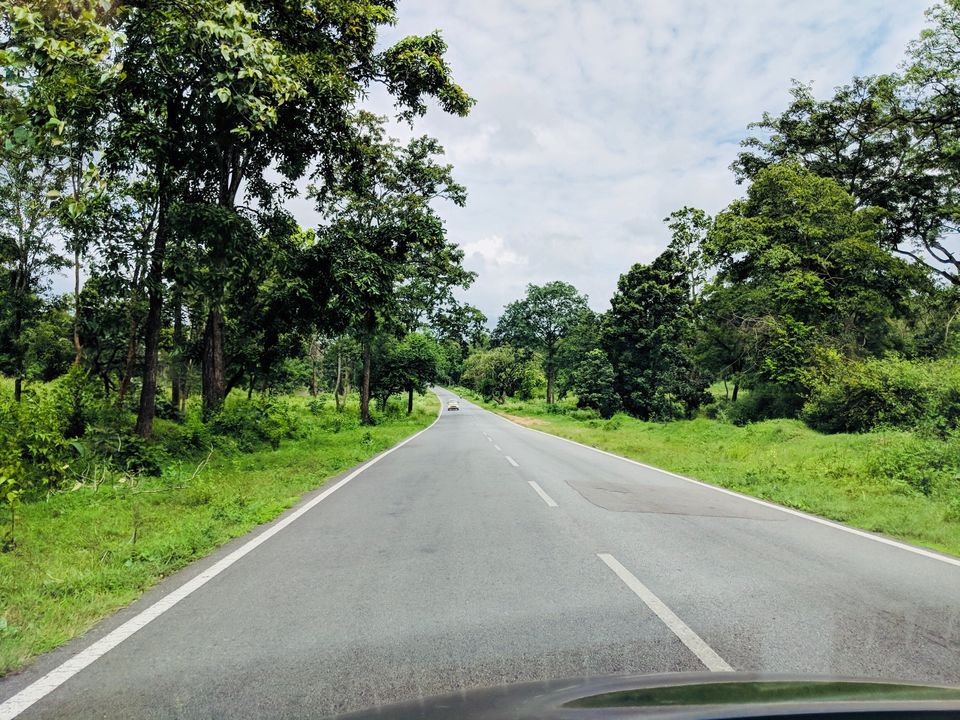 Photo of Coorginess of Coorg- like never before- 3 day Itinerary from Bangalore by Renegade Runaways